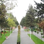 Atatürk Parkı
